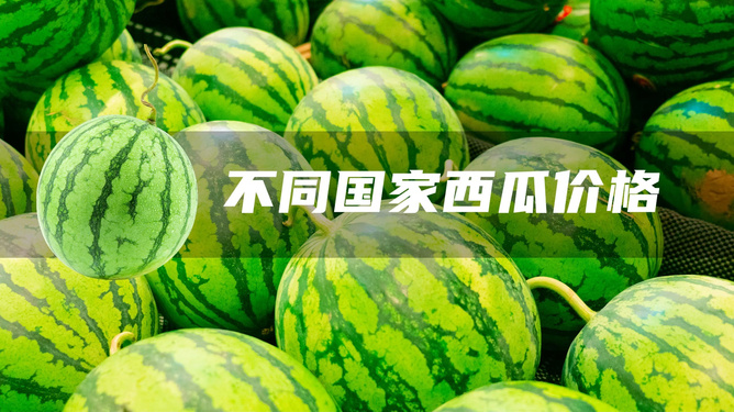 各地西瓜价格最新行情解析