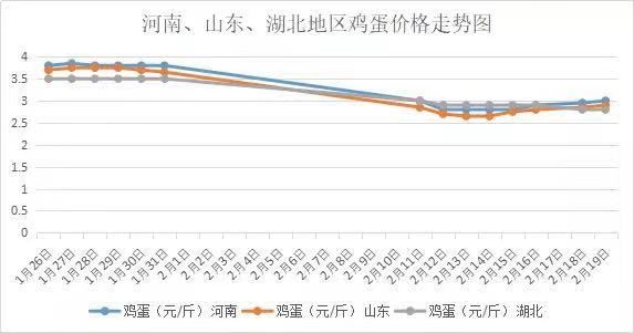 莱阳鸡蛋今日最新价格及市场走势与影响因素分析概览