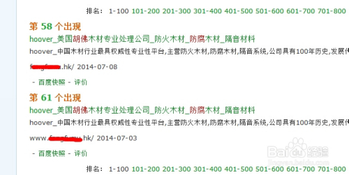 探索最新域名865bb的无限可能